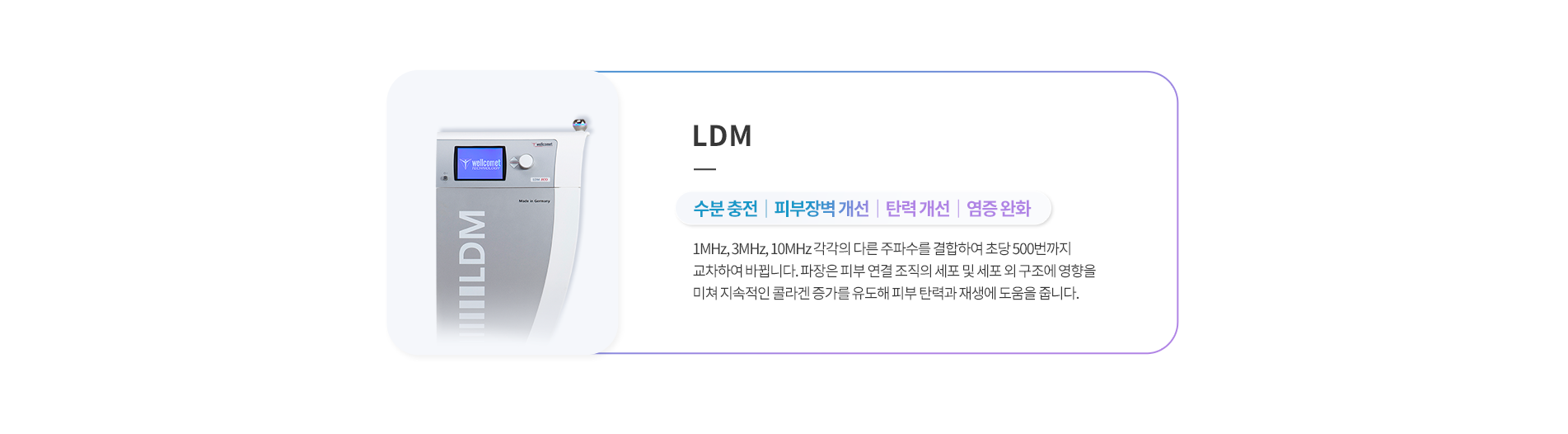 LDM