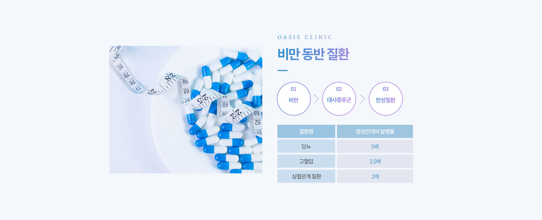 비만 동반 질환